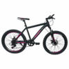Cult 24-Inch Pink Mountain Bike for Girls in South Africa with Shimano gearing and disc brakes