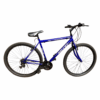 Rally Santa Fee 21 Speed 29-Inch Mountain Bike in South Africa with steel frame and v-brakes