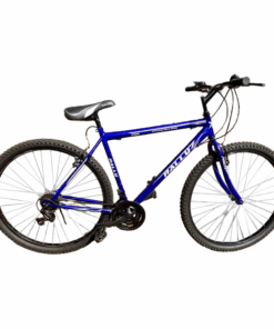 Rally Santa Fee 21 Speed 29-Inch Mountain Bike in South Africa with steel frame and v-brakes
