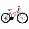Galaxy Superboss 24 Inch Girls Mountain Bicycle